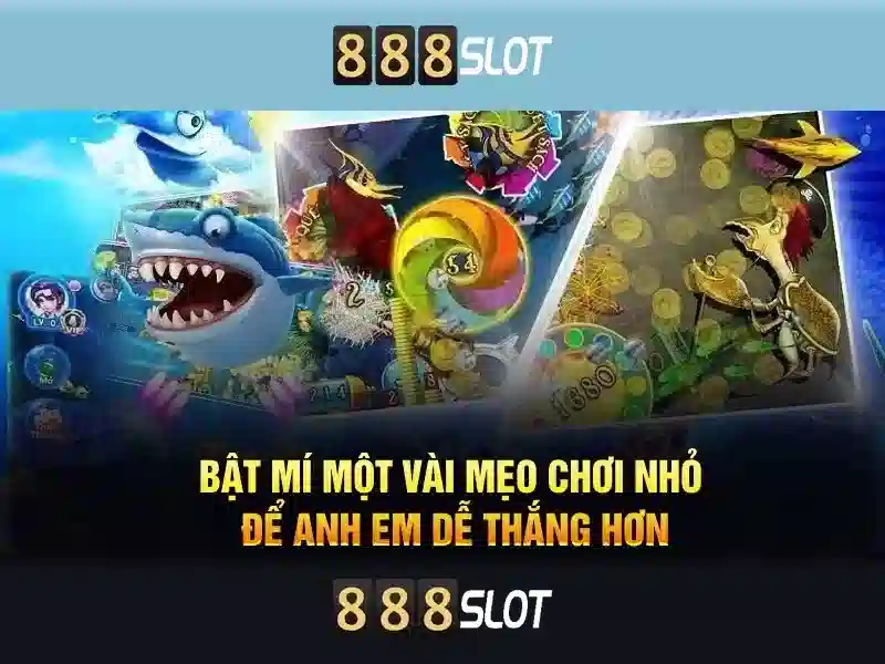 Khuyến mãi và chương trình thưởng