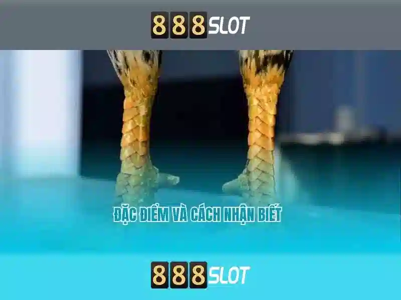 888slot: Đánh giá và Trải nghiệm trên nền tảng slot trực tuyến 1 Đăng Nhập