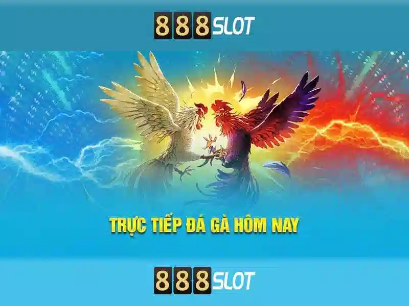 888slot là gì