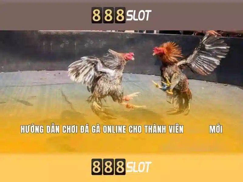 Kết luận} Kết luận}