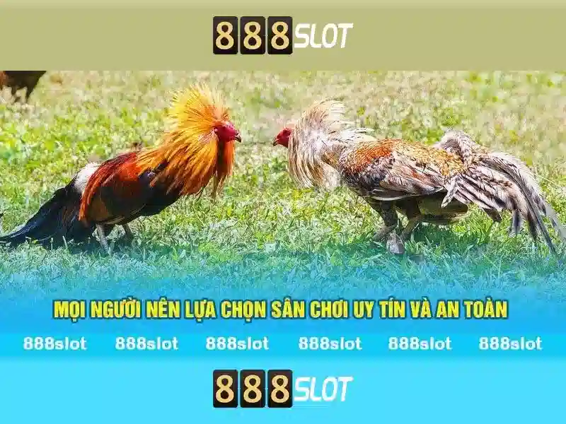 Khuyến mãi và an toàn tại 888slot