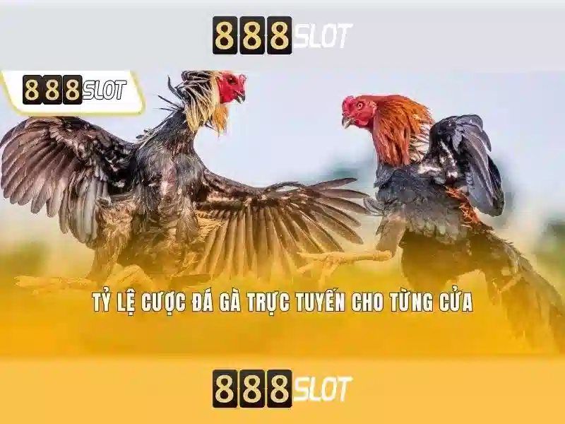 Tổng quan về 888slot Tổng quan về 888slot