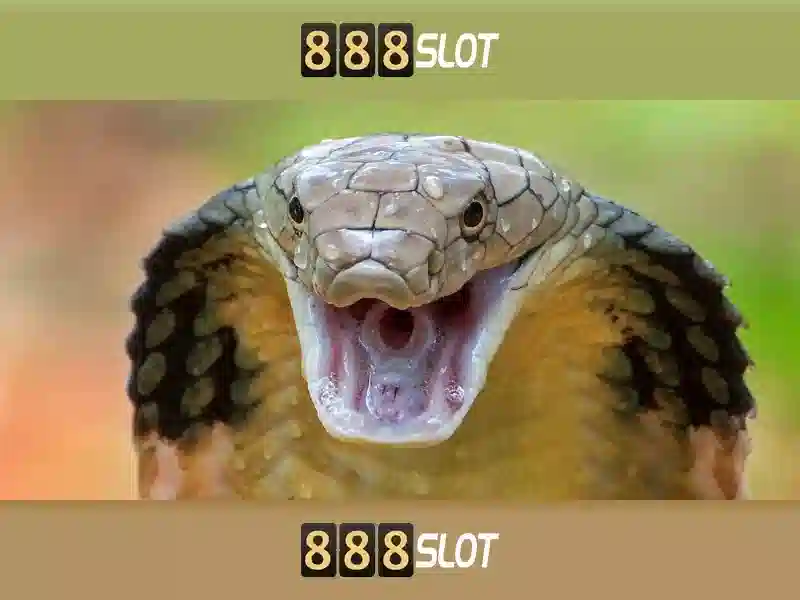 888slot - Nền tảng slot trực tuyến đầy hấp dẫn