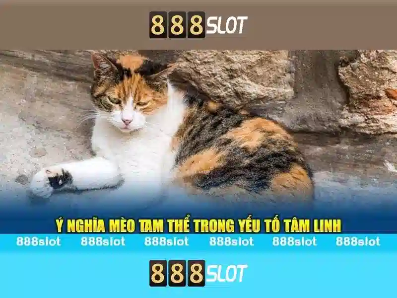 Trải nghiệm người dùng và phản hồi cộng đồng