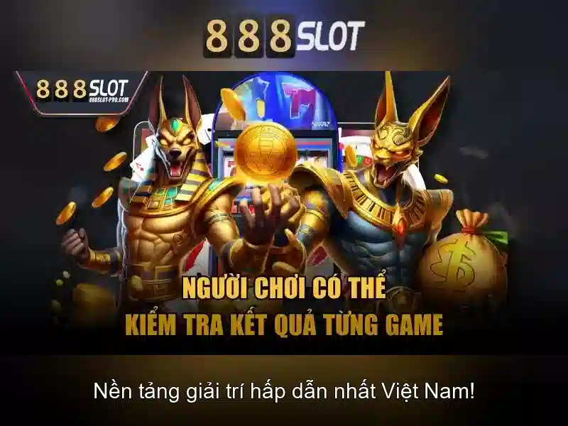 Hướng dẫn tham gia và lưu ý an toàn