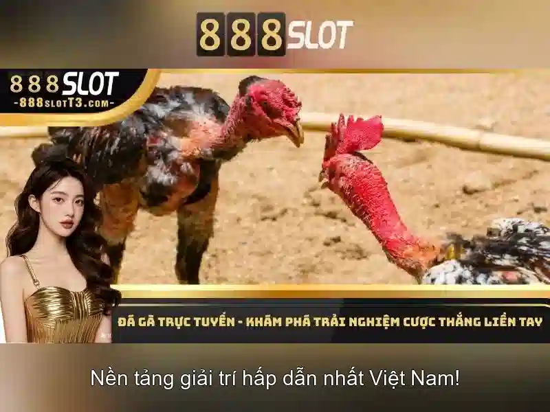 Trải nghiệm người dùng và giao diện