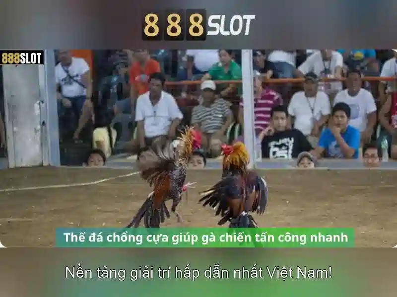 Tại sao chọn 888slot?
