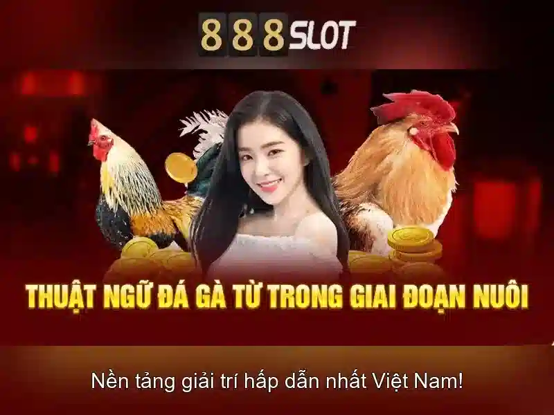 Đăng Nhập