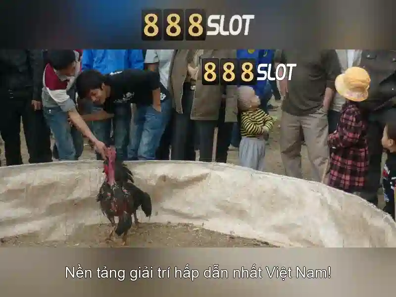 Cac tinh nang noi bat cua 888slot Cac tinh nang noi bat cua 888slot