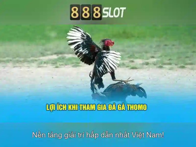 888slot - Trải nghiệm slot trực tuyến uy tín tại Việt Nam 1 Đăng Nhập