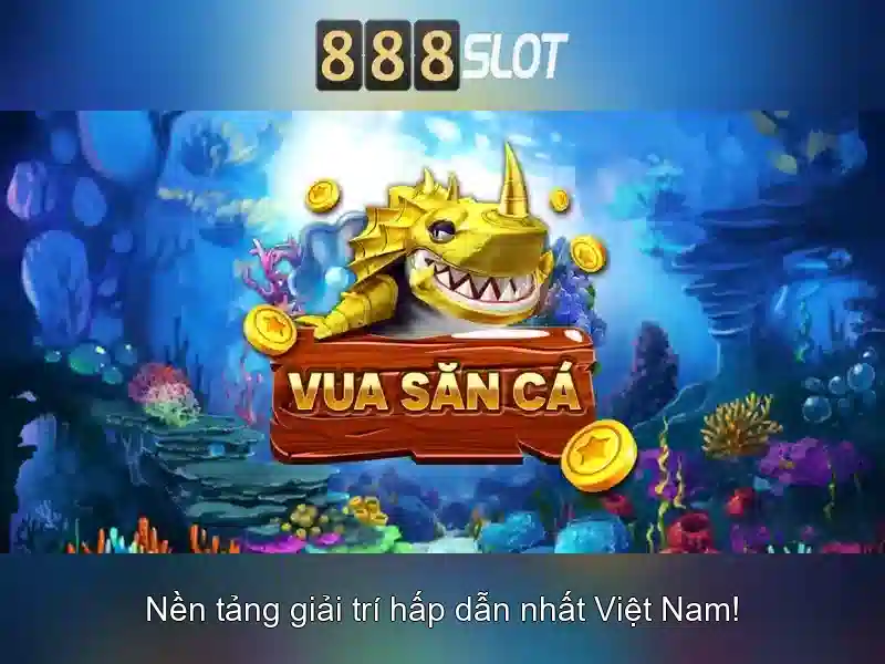 Trải nghiệm người dùng và thanh toán