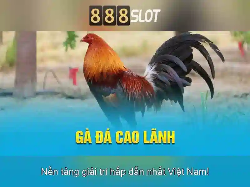 Soi kèo hiệp 1