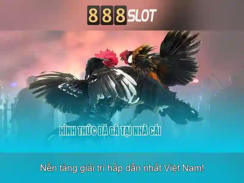 Tại sao 888slot nổi bật