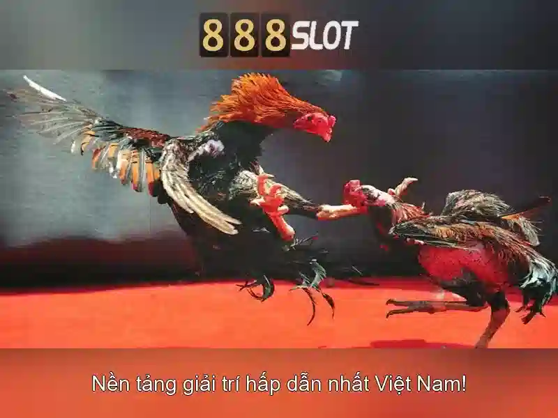 Soi kèo hiệp 1